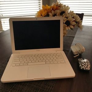 Apple MacBook 2010 edition!